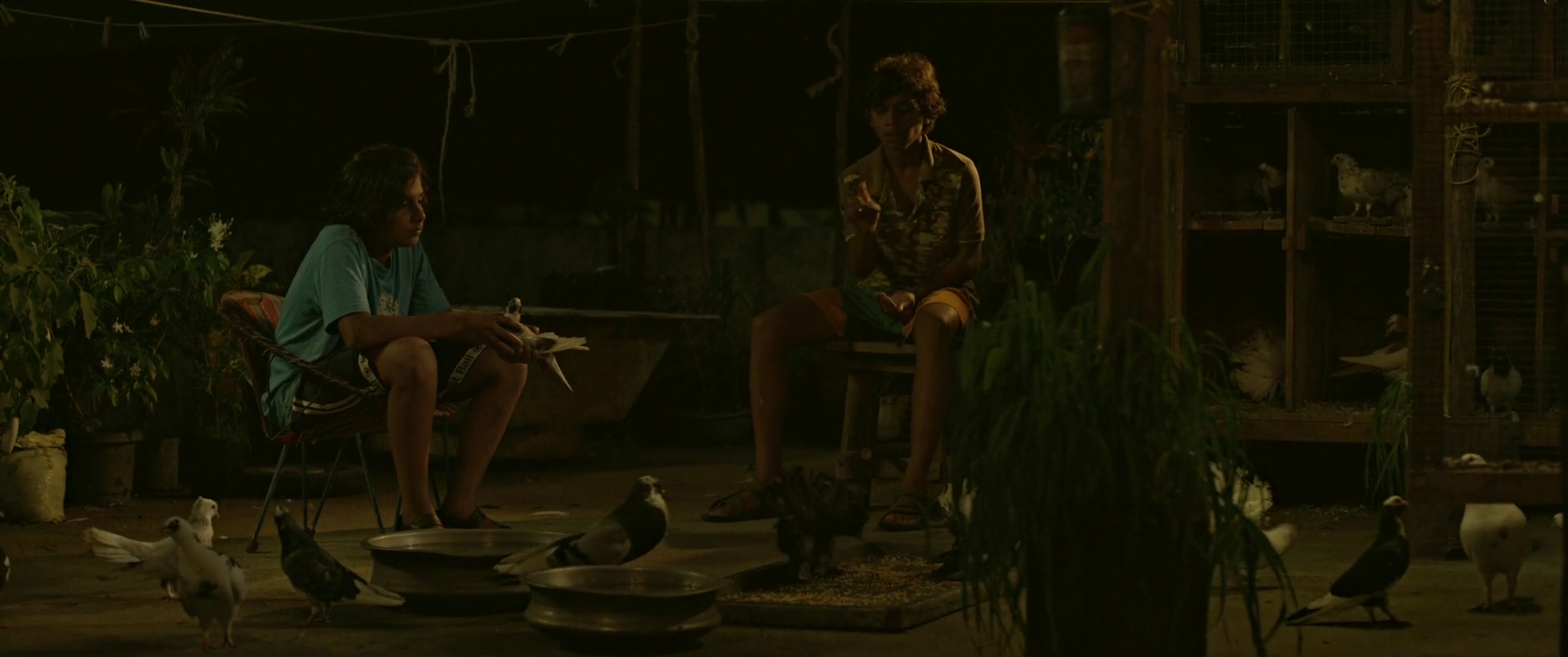 Parava
